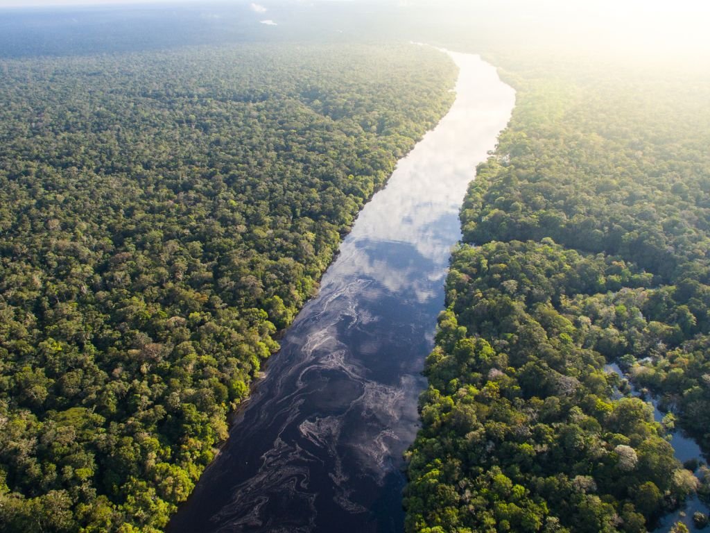 Discover the Amazon Rainforest, one of the most exclusive destinations in Brazil.