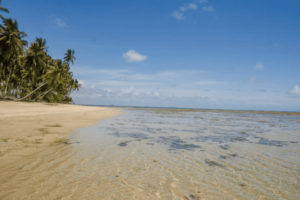 Image representing Boipeba in the region of Salvador de Bahia in Brazil on a sunny day.