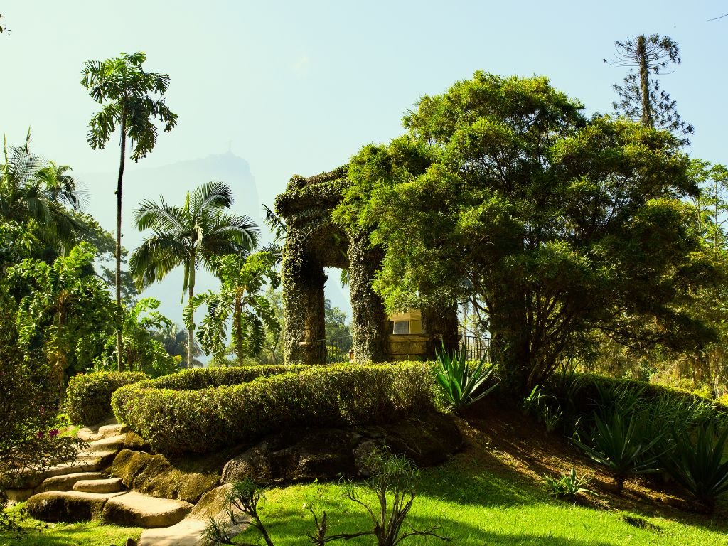 Nice view in the Botanical Garden in Rio de Janeiro.