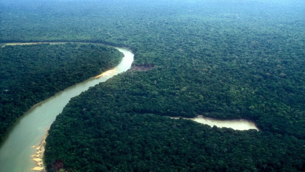 Aerial view from the main Amazon's river in Brazil.