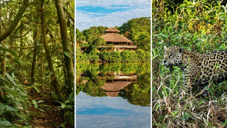 Tourism in Brazil 2025 Marks a New Era for High-End TravelTourism in Brazil 2025 Marks a New Era for High-End Travel (3) Images representing eco-luxury tourism in Brazil: hiking in the Atlantic rainforest, a boutique Amazon lodge, and wildlife encounters in the Pantanal.
