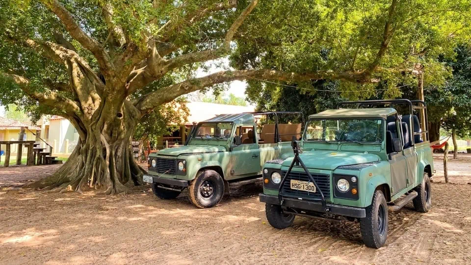 Pantanal - Baia das Pedras - brazil exclusive PT (3)