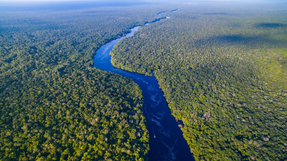 What to do in Rio Aerial view of the Amazon rainforest and winding river, illustrating Brazil’s natural luxury and biodiversity showcased by Brazil Exclusive Travels at ILTM Cannes.
