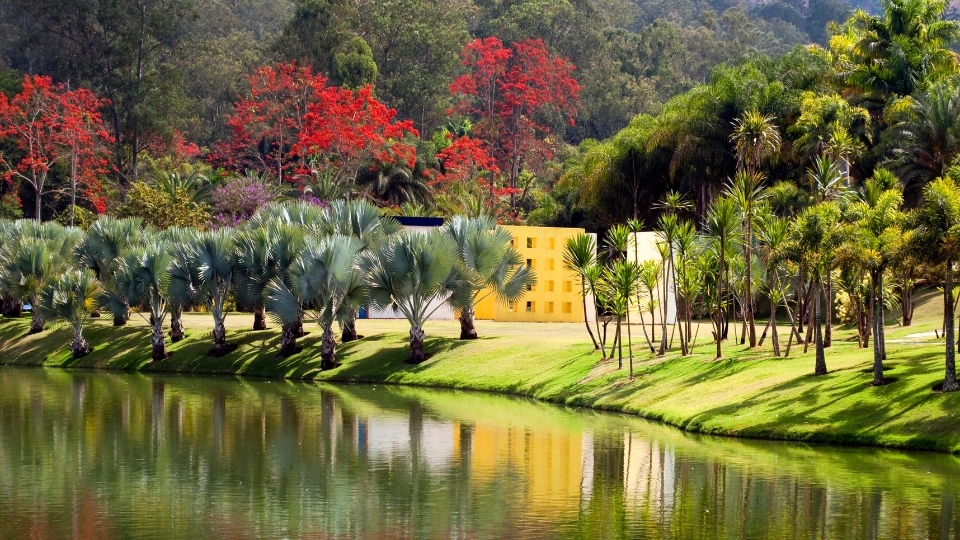A tranquil lake surrounded by lush vegetation at Inhotim, highlighting the museum’s integration of contemporary art, landscape design, and nature in Minas Gerais.