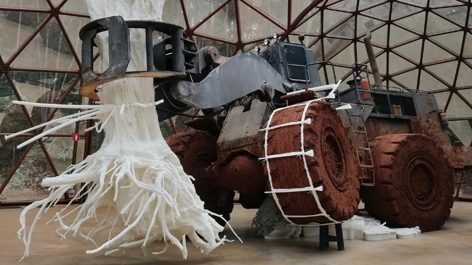 18 Large-scale contemporary art installation at Inhotim, set within open landscape, showcasing the museum’s immersive approach to art and architecture in Brazil.