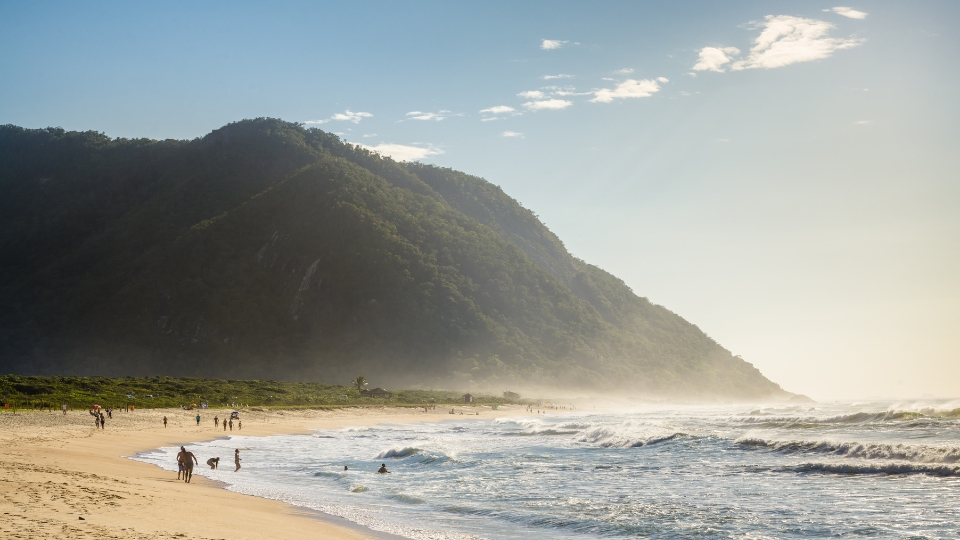 Grumari, rio de janeiro Praias no Rio de Janeiro com a Praia de Grumari cercada por Mata Atlântica preservada e água clara