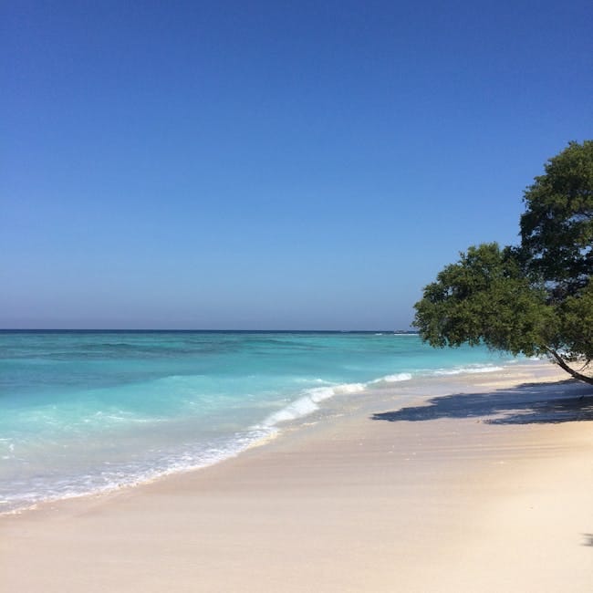 pexels-photo-34616717-34616717 Clear beach with turquoise water and a single coastal tree under a blue sky.
