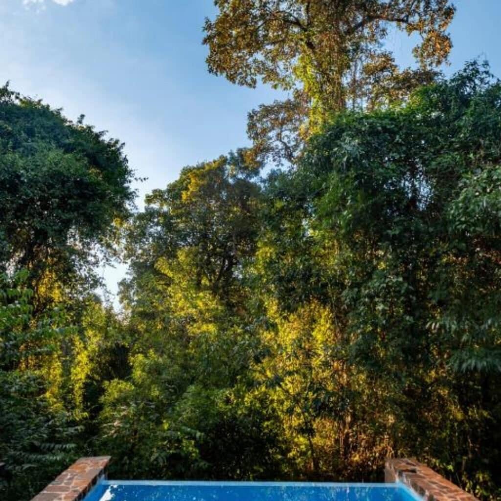Accommodation - Hotel Booking in Iguazu - Awasi Iguazu - 1080x1080px (5)