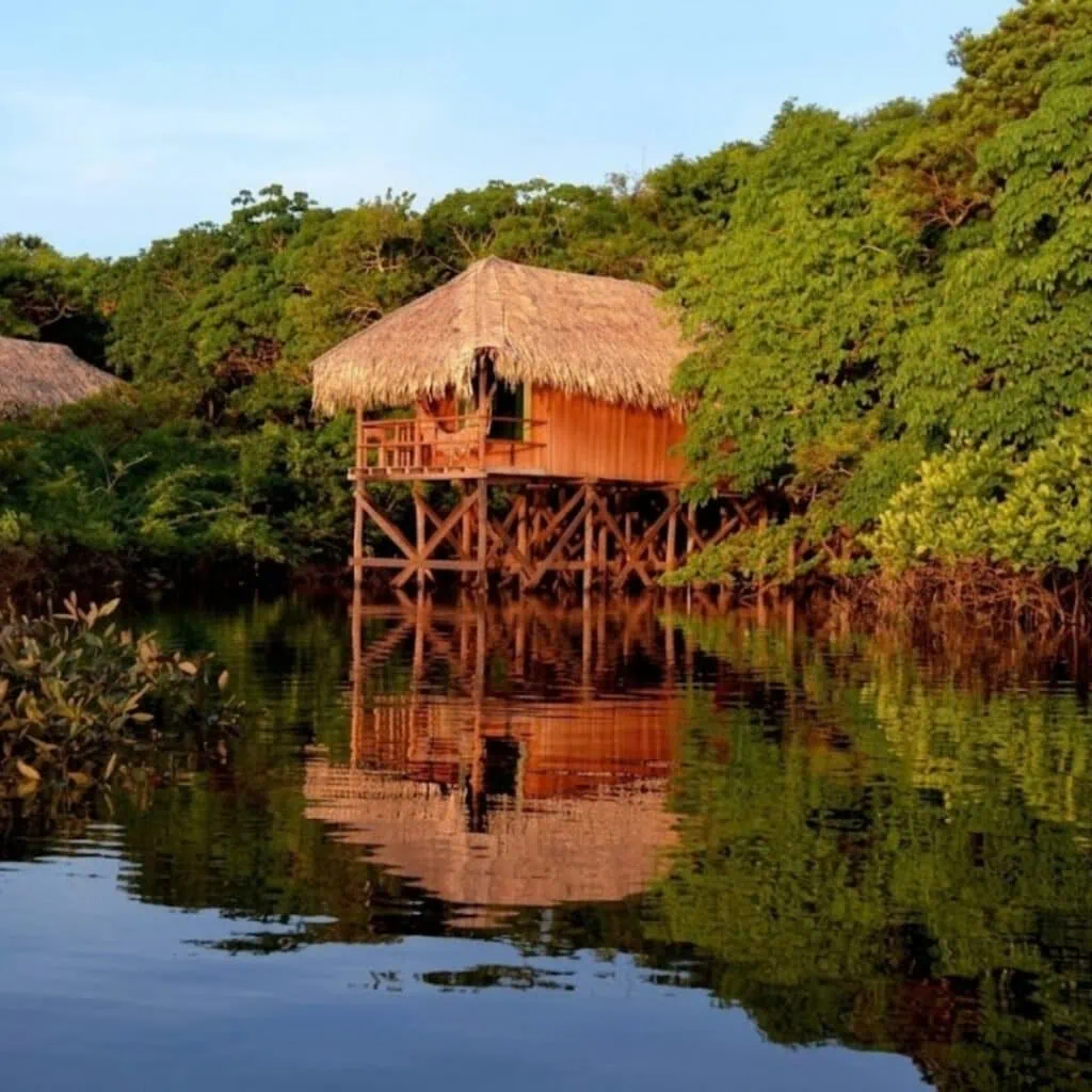 Accommodation - Hotel Booking in the Amazon - Juma Lodge - 1080x1080px (2)