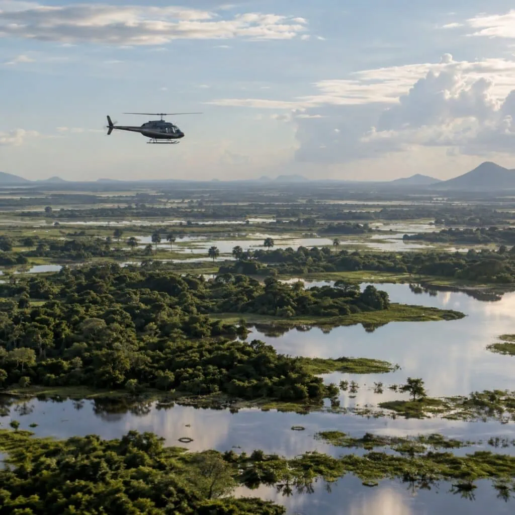 Experience -Helicopter Flight Over the Pantanal - page image 1080x1080px