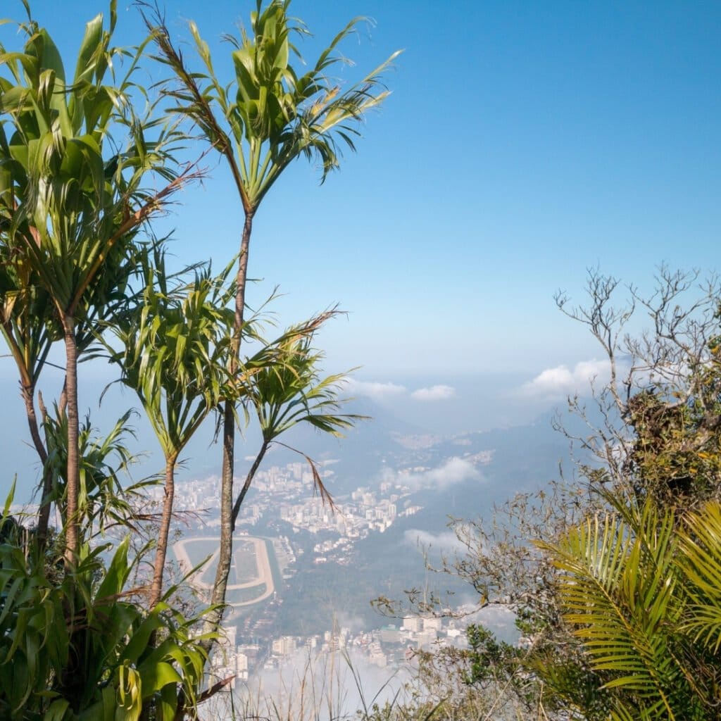 Experience - Tijuca Peak - page image 1080x1080px (4)