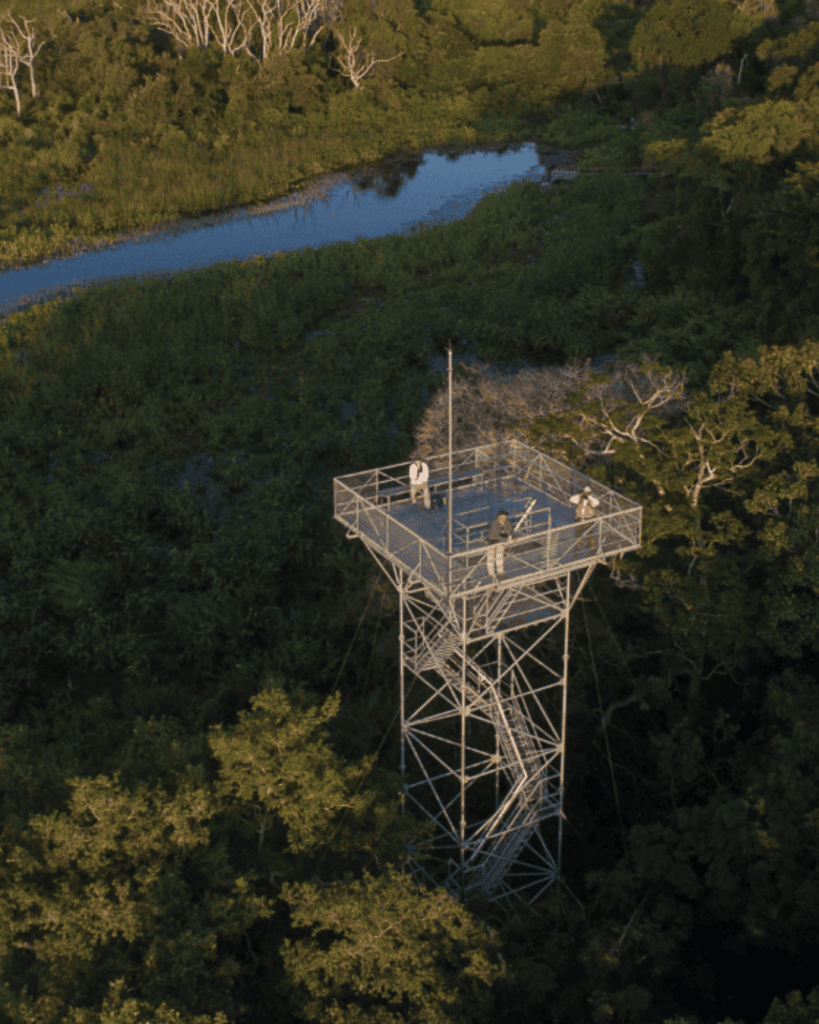 Araras Ecolodge - Hotel Booking in the pantanal View of a metal observation tower in a lush green forest near a river in Brazil.