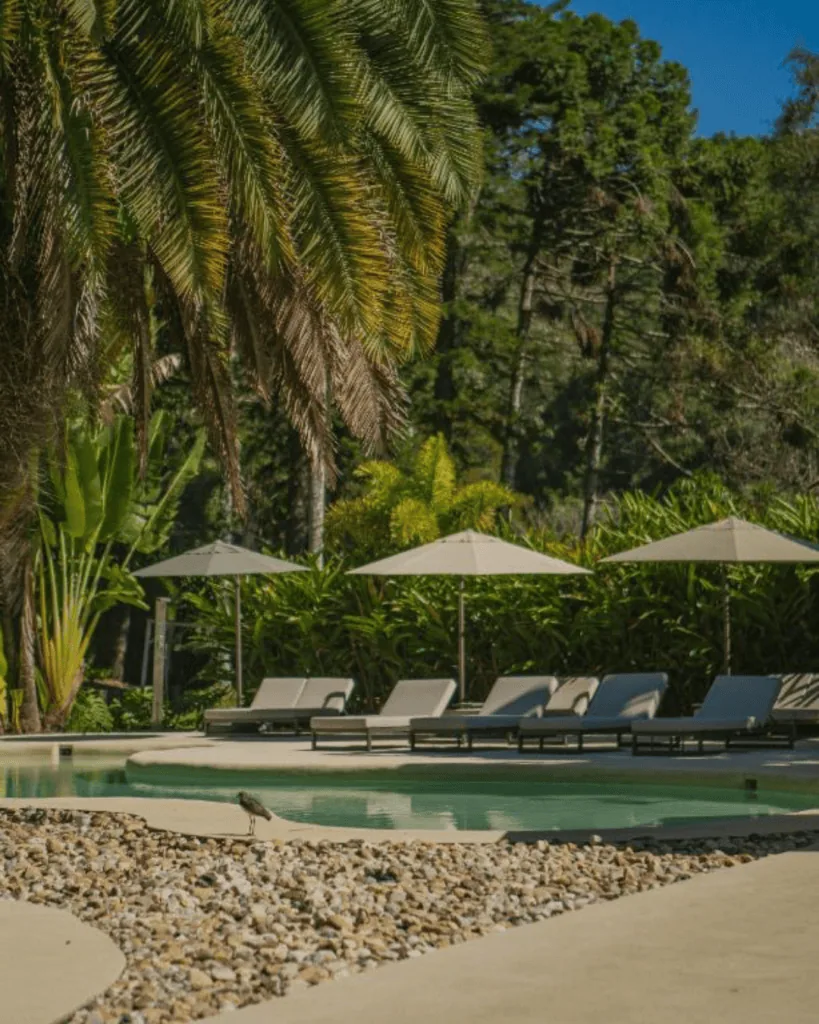 Poolside lounge chairs with umbrellas surrounded by lush tropical greenery in Brazil.